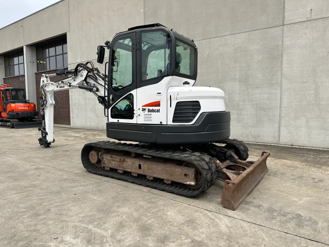 Bobcat